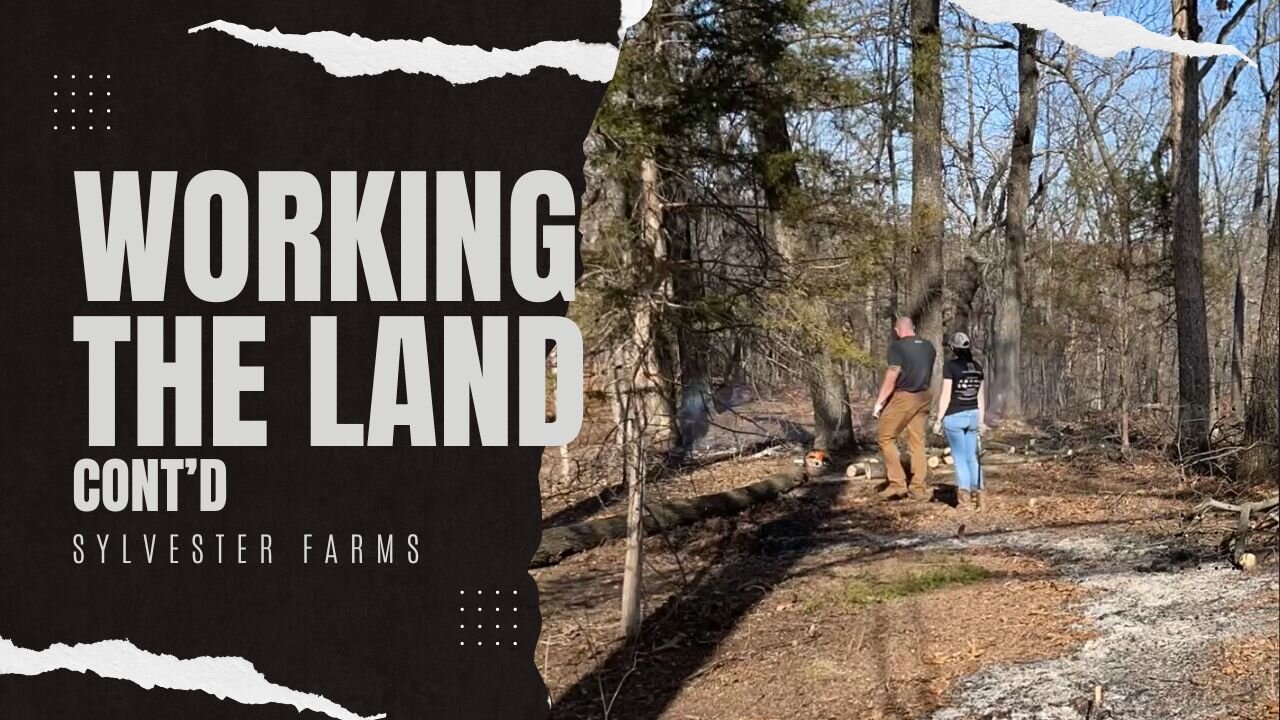 Working the Land - 2