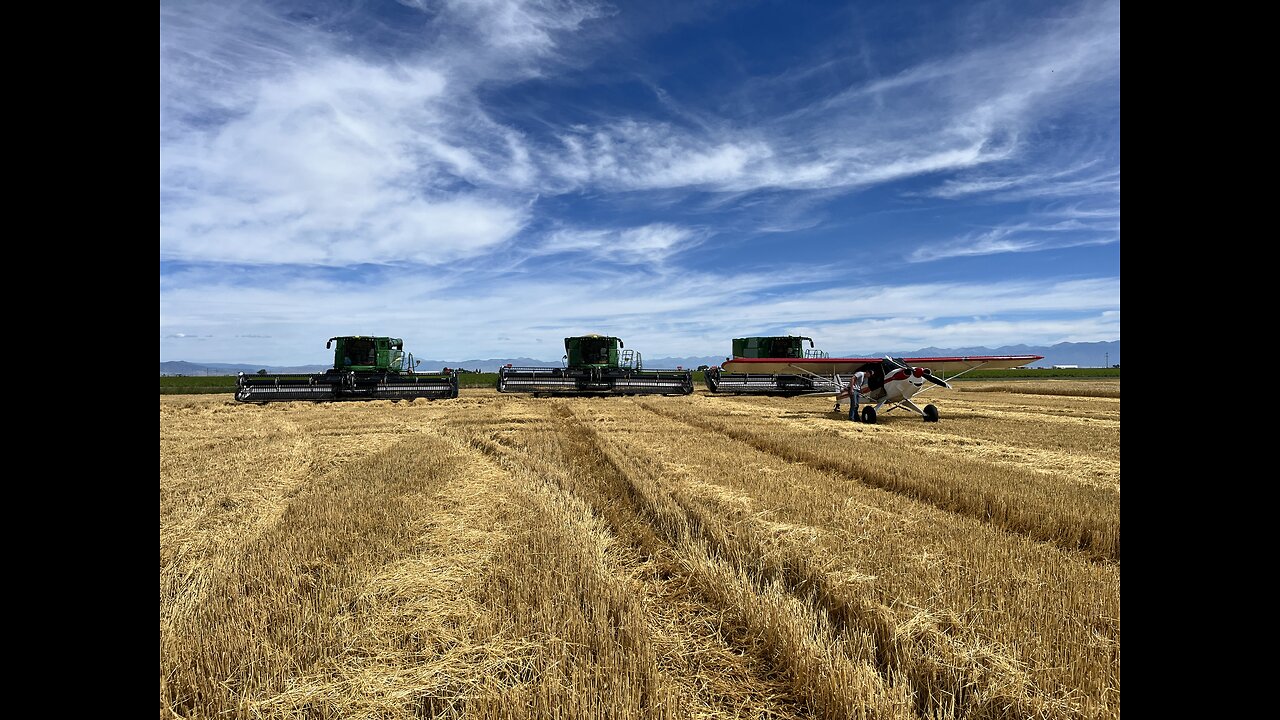 Cub and combines