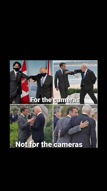 MemeSplash | G7Facts