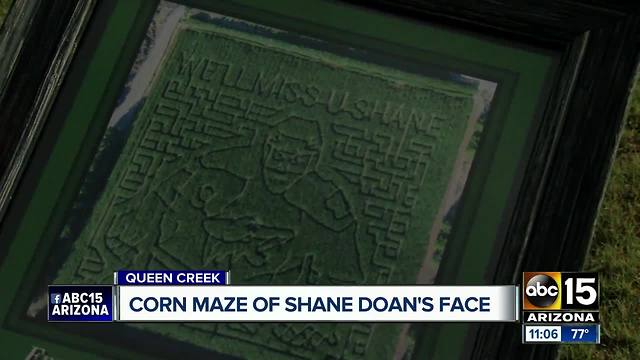 Arizona corn maze looks like Shane Doan