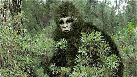 BIGFOOT RESEARCHER DAVID HOLLEY
