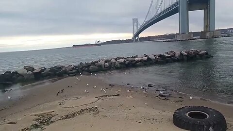 Spot British landed in Battle of Brooklyn 1776 - Verrazano Bridge