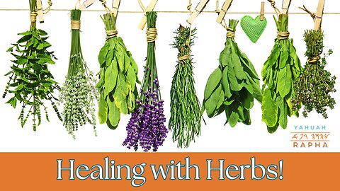 Understanding Herbal Medicine: Herbs & their Application