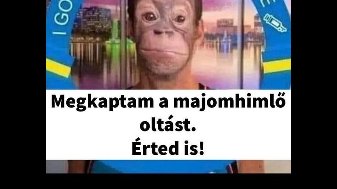 MAJOMHIMLŐ PREMIER HAMAROSAN