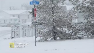 A fresh white coating ahead of the weekend in Mount Pearl, NL