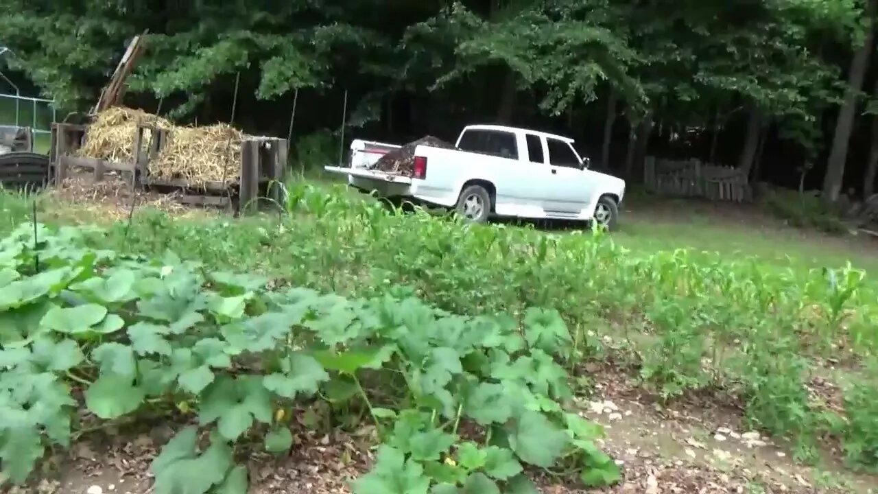 Mega Homestead Gardening Day & Eating Our Harvest