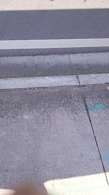 TRUMP CARAVAN IN MIAMI.