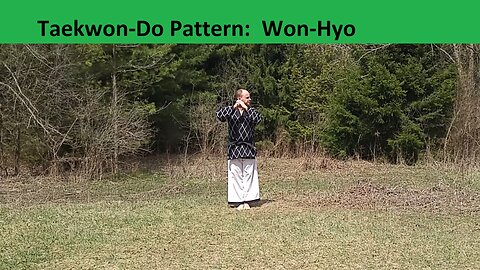 Baehr Taekwondo: Pattern 07 - Won-Hyo (2024-04-14) - Final