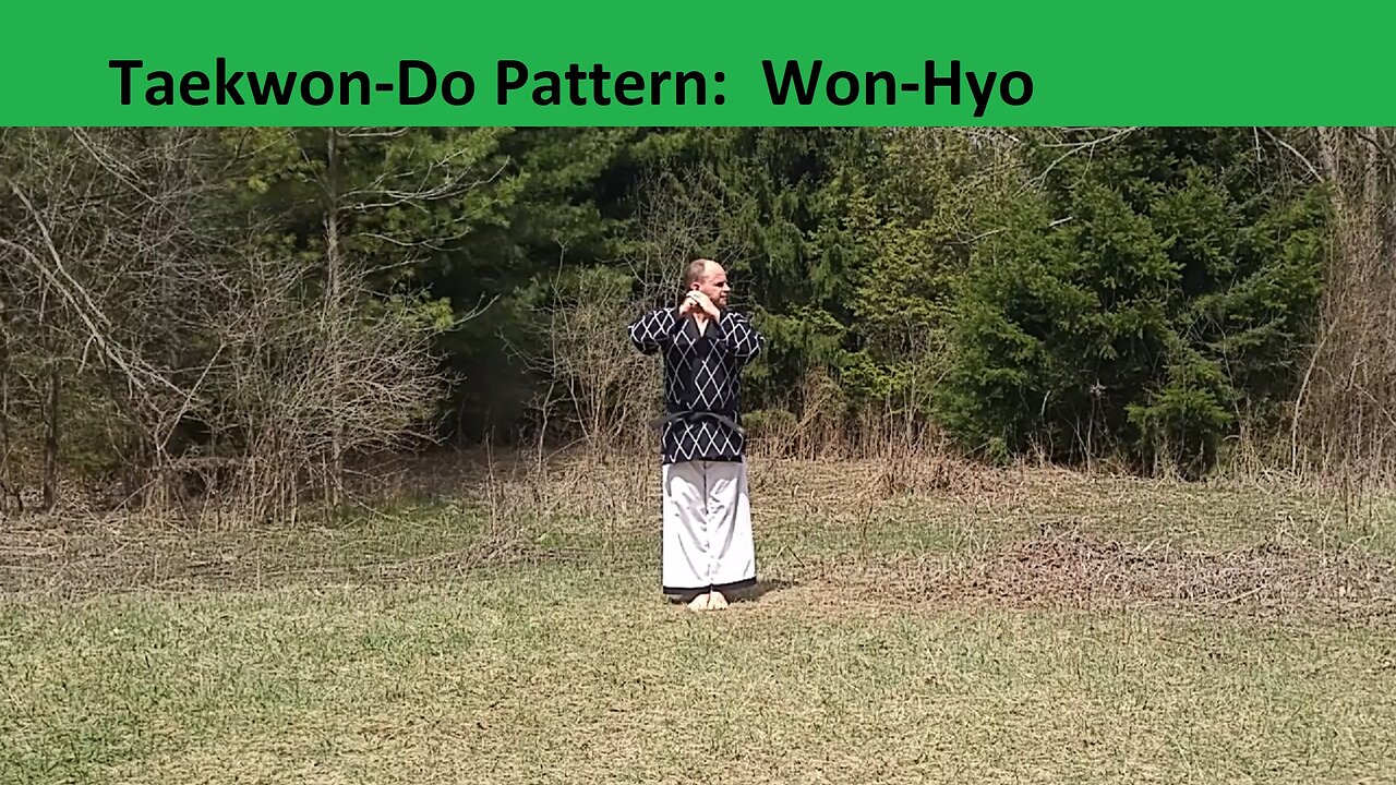 Baehr Taekwondo: Pattern 07 - Won-Hyo (2024-04-14) - Final