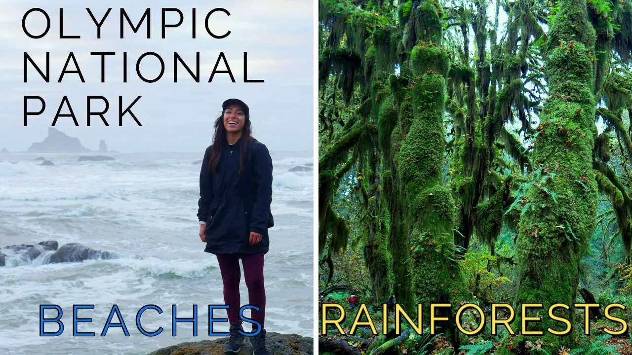 Olympic National Park | Hoh Rainforest (Hall of Mosses) | Rialto Beach