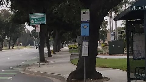 Degeneracy and Miscreance in America