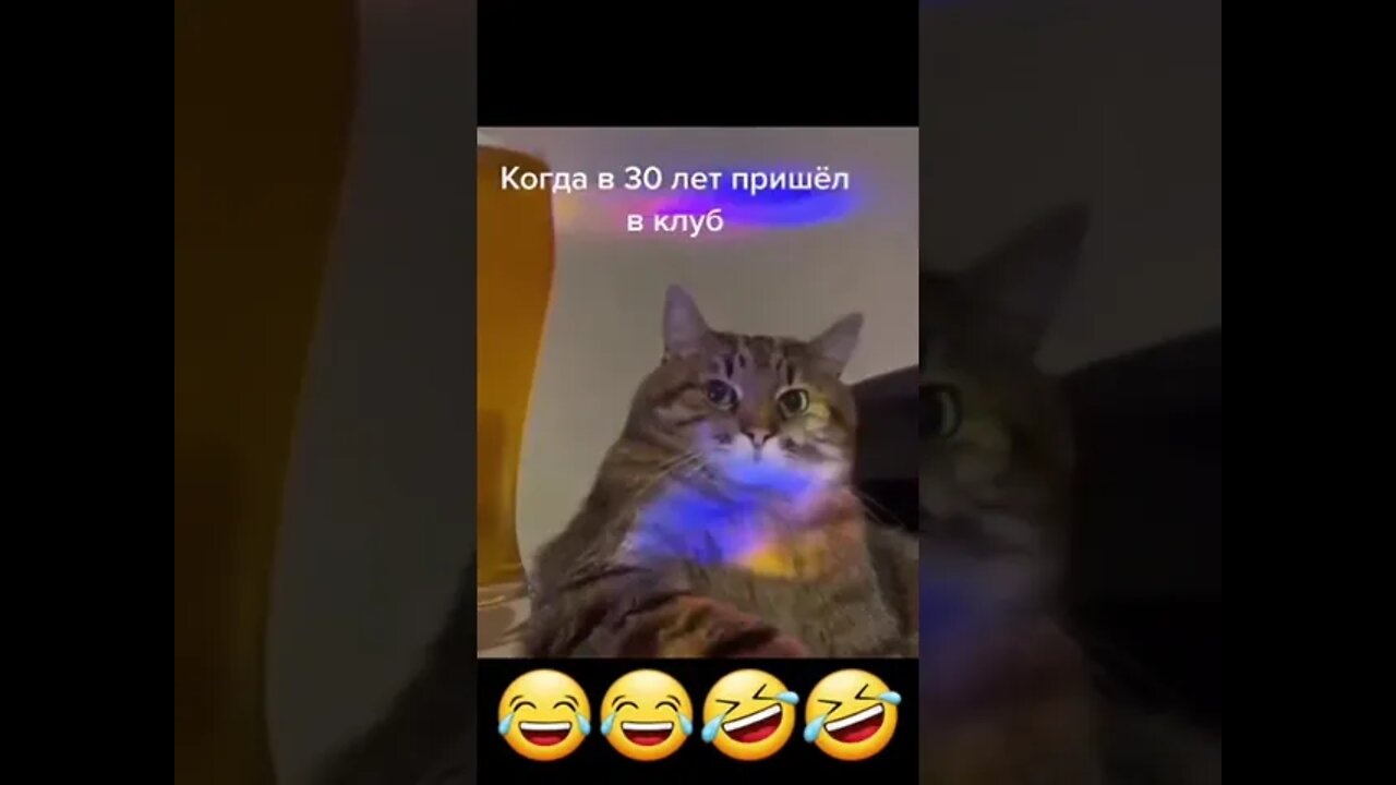 На дискотеку😅😅😅😅#shorts#tiktok