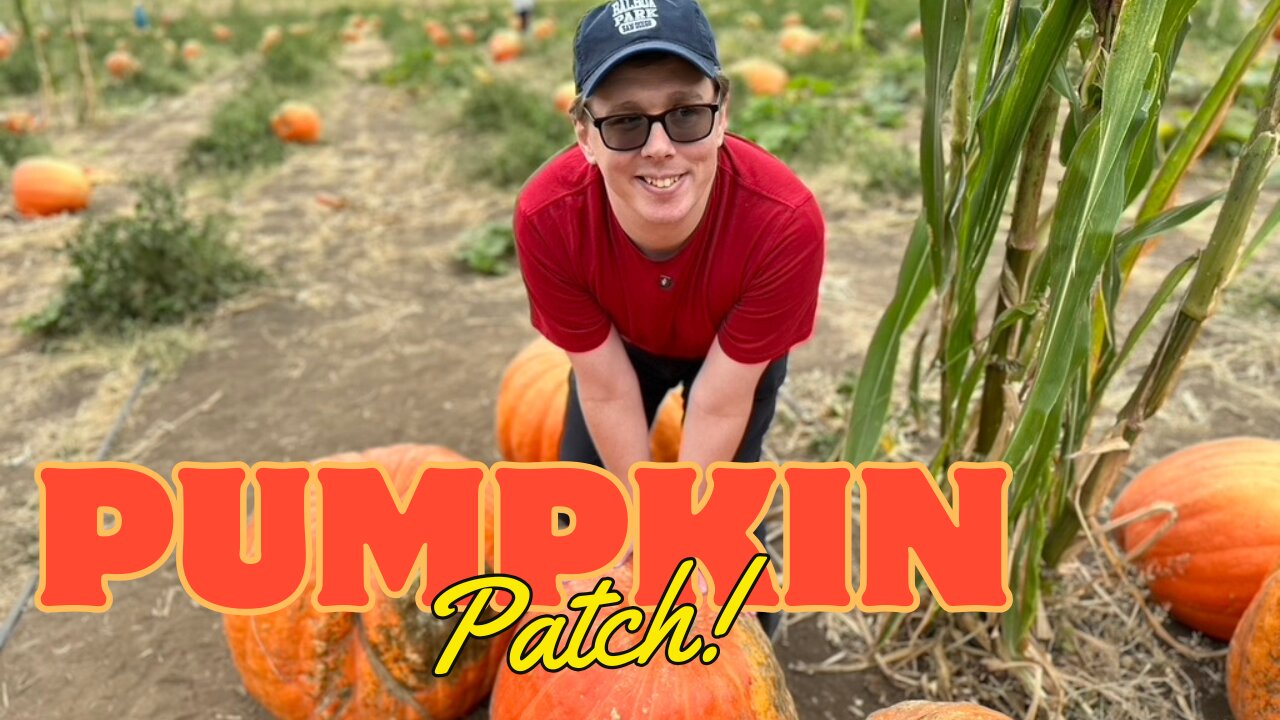 Roaming with Ryan: Pumpkin Patch Adventures at Bates Nut Farm!