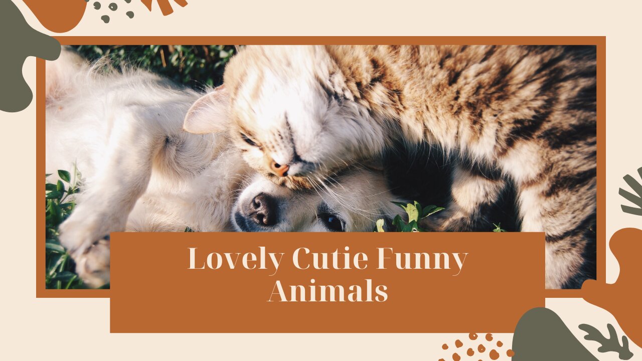 Lovely cutie animals Series#1