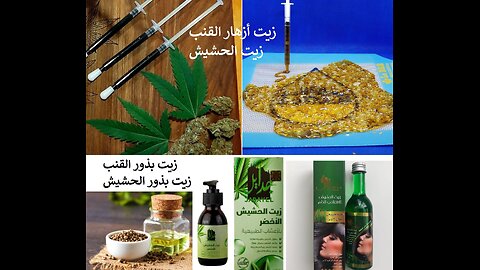 Hemp seed oil طريقة استخراج زيت بذور القنب او زيت بذور الحشيش للشعر والعضلات