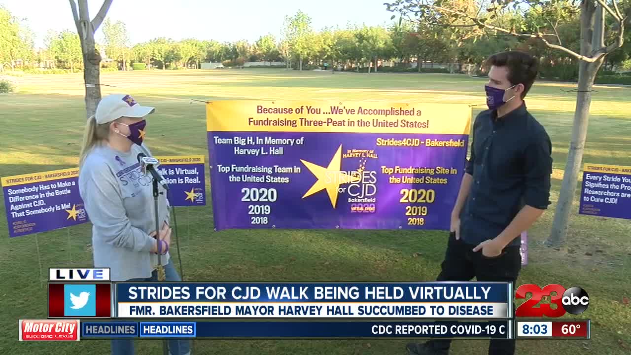 Strides for CJD walk being held virtually