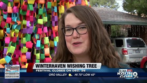 Winterhaven wishing tree continues bringing joy 19 years after its start