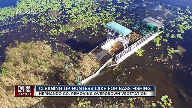 Overgrown vegetation removed from Hunters Lake