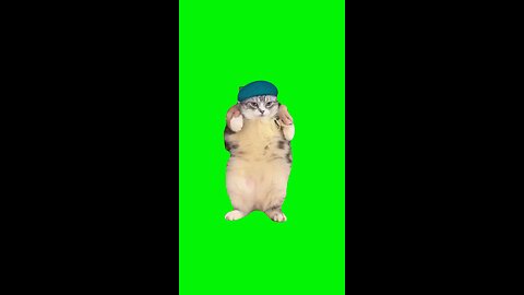 Girlfriend Cat | Green Screen