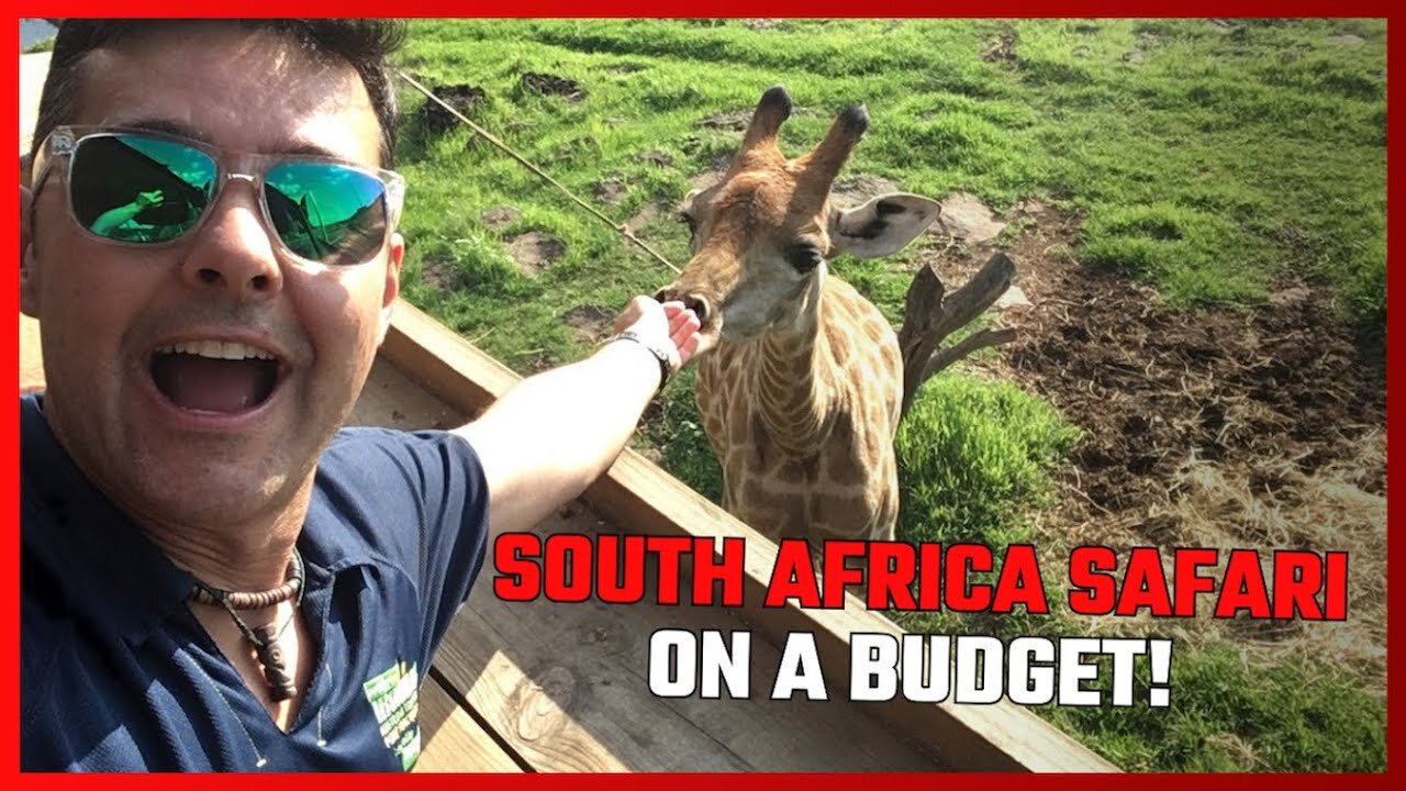 TRAVEL SOUTH AFRICA! BEST AND CHEAPEST ONE-DAY SAFARI FROM JOHANNESBURG (OR PRETORIA)!