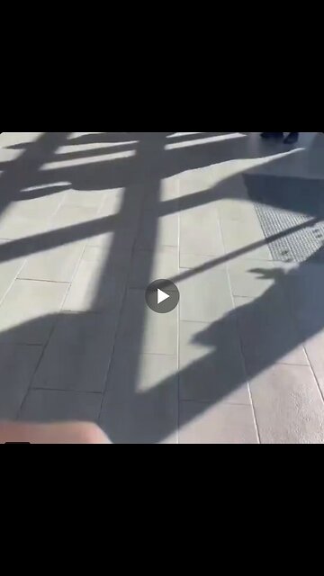 A New European is denied a free bus ticket because no one rides for free...