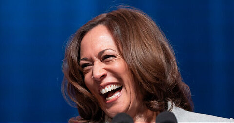 Kamala Harris: Border Tsar