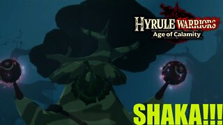 HESTU!!!: Hyrule Warriors Age of Calamity #7