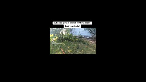 Whacking out a branch Zero tools! Just you vs branch!