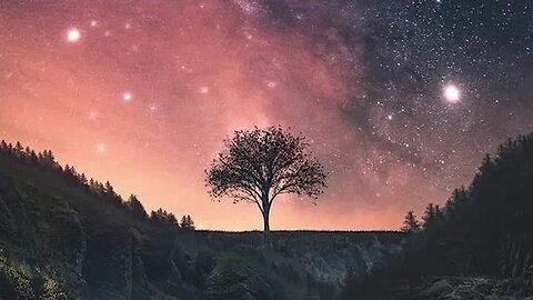 Serene Waters Tranquility in the Lap of Nature