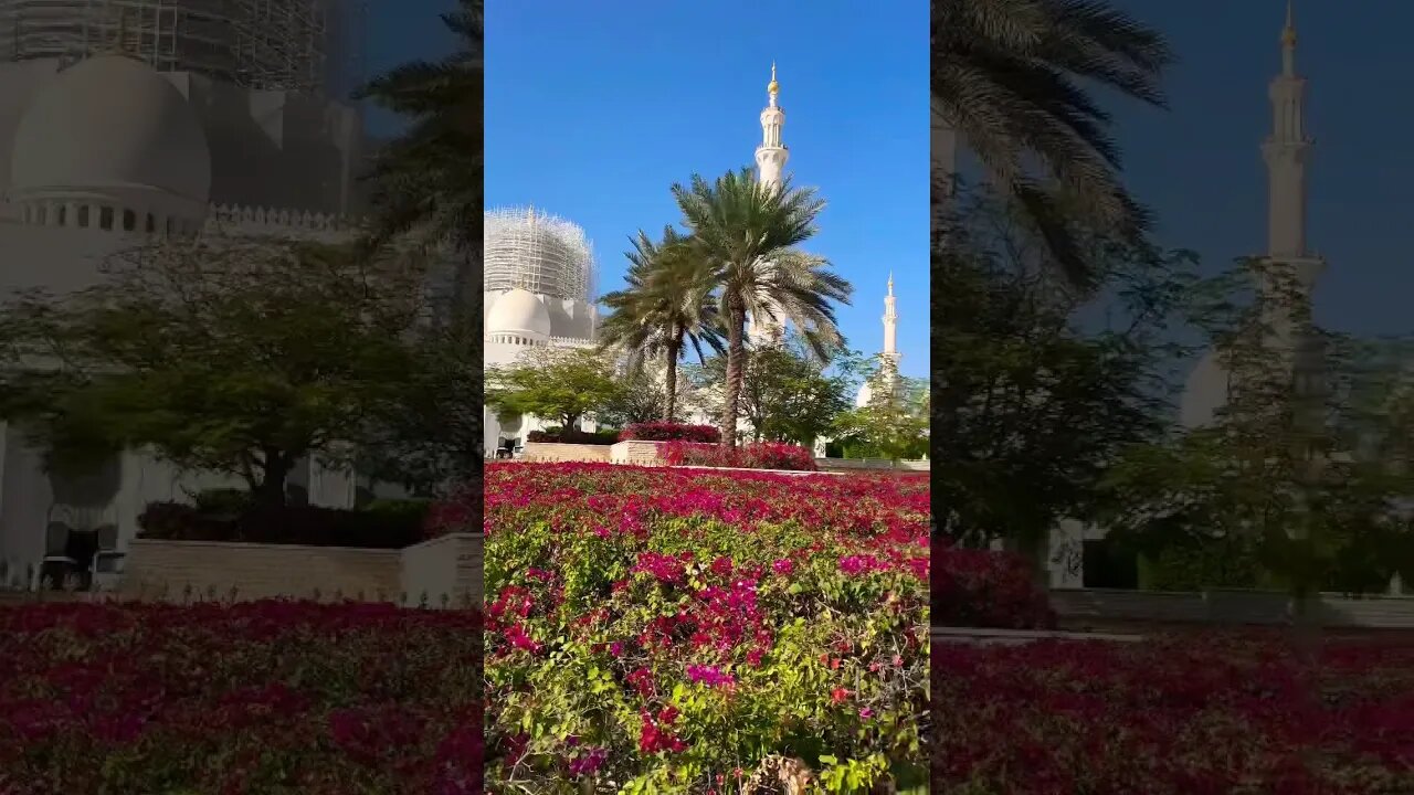 Beautiful mosque 🕌 #shortsvideo #uae #abudhabi #youtubeshorts #youtubeshorts #viral #sheikhzayed