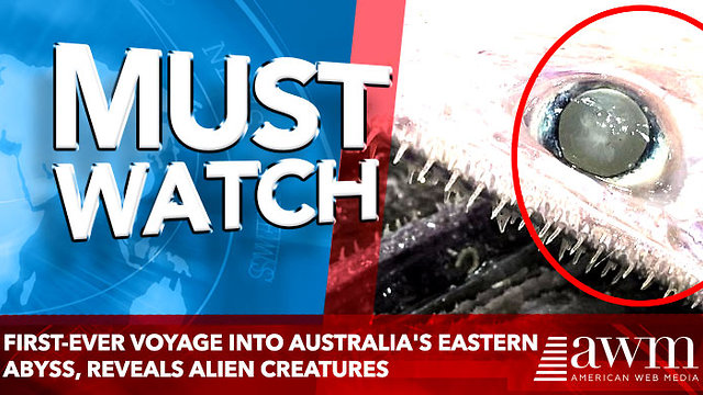 first-ever voyage into Australia's eastern abyss, reveals Alien Creatures