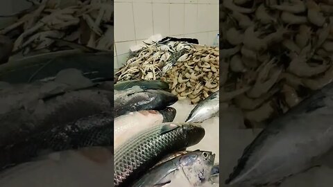 Fish Cutting Skills #fishcut #fishcuttingskill #fishmarket #reels #shorts