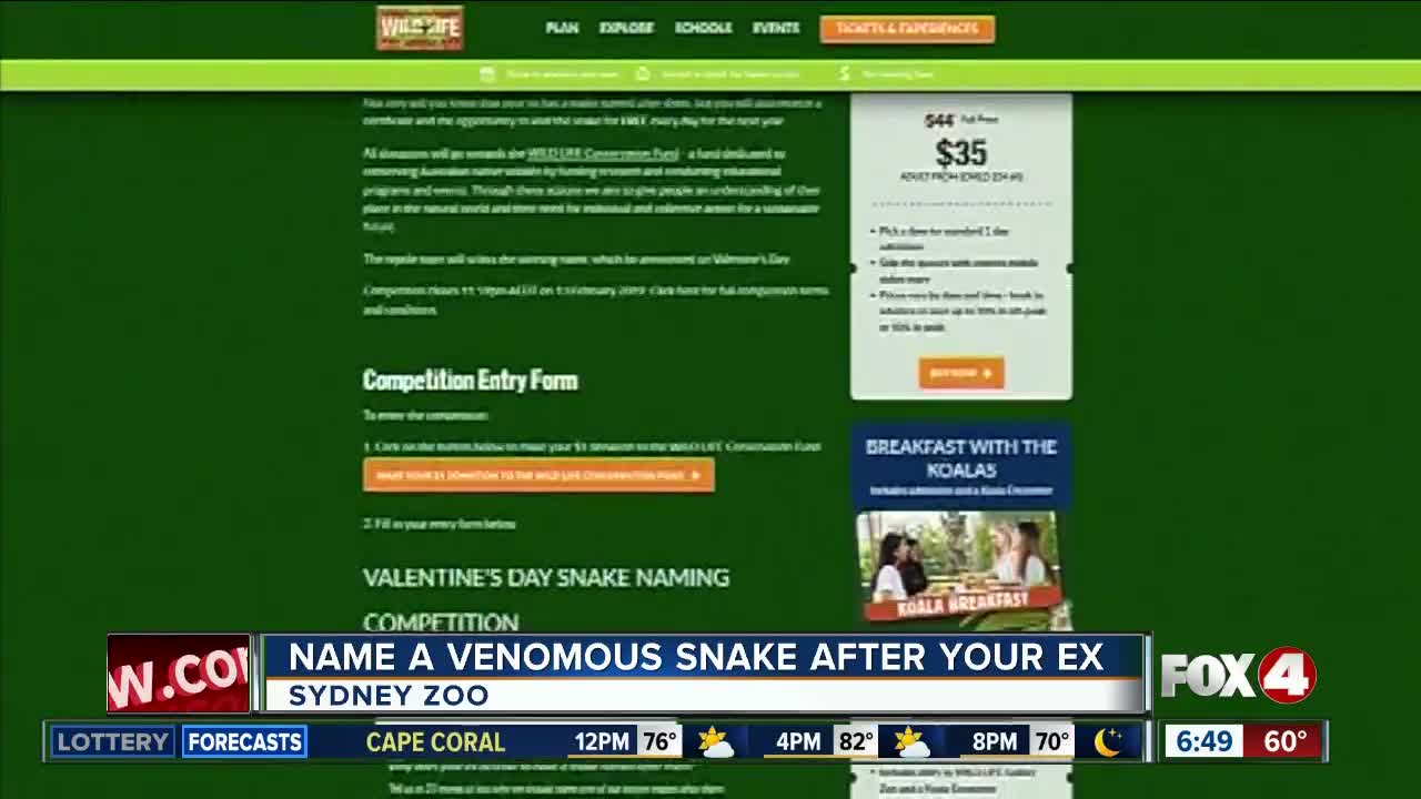 Name a venomous snake after your ex