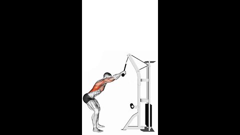 Rope Straight Arm Pulldown Exercise.