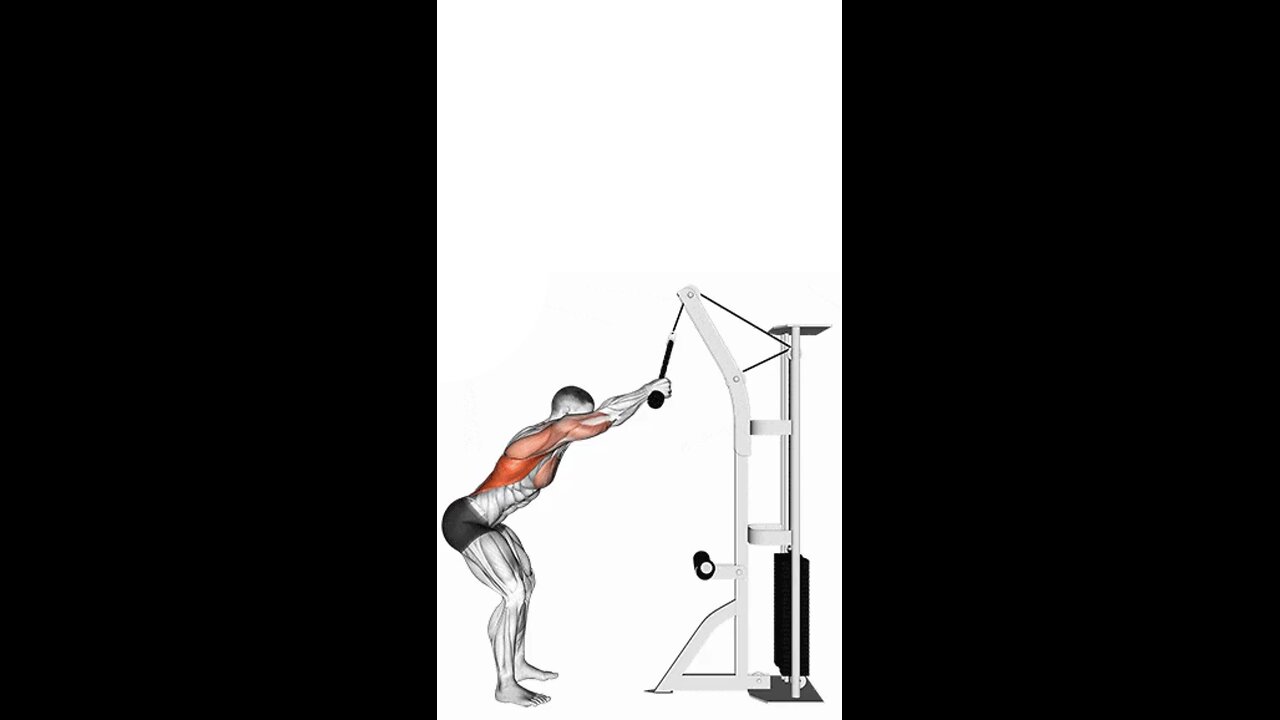 Rope Straight Arm Pulldown Exercise.