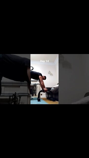 Day 14 - Learning How To Do Handstand Push Ups