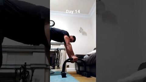 Day 14 - Learning How To Do Handstand Push Ups