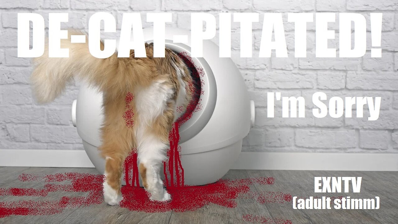 Blood Sacrifice Cat Literbox Kills Cats For Baal While U Wait! Easy One-time Only Clean-up!