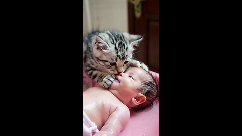 cat love baby