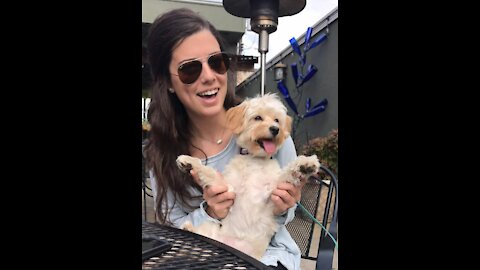 Happy Birthday, Laura