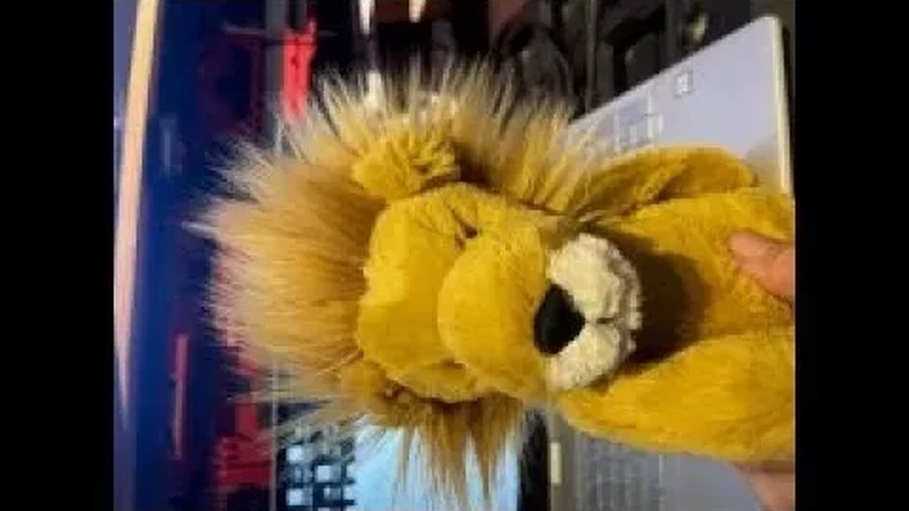 GREET Each other with a Holy Kiss - How about a Hug! Lions and Tigers and Bears Oh My! And a UNICORN