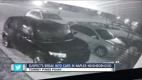 Suspects caught on camera breaking into cars in Naples neighborhood