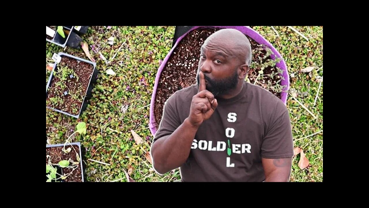 What Men In The Garden Grow Off Don’t Want You To Know About This | MIGGROWOFF2022