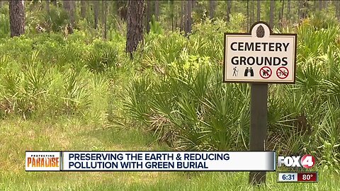 Natural burials provide eco-friendly alternatives to traditional cemeteries