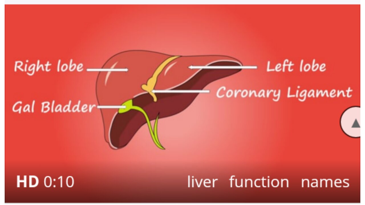 Liver function