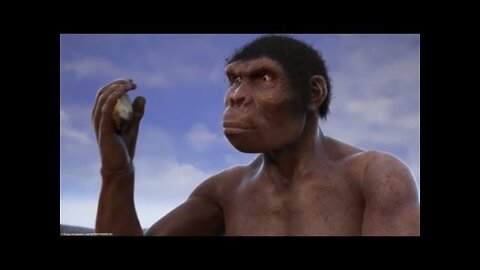 Evolution from ape to man. From Proconsul to Homo heidelbergensis