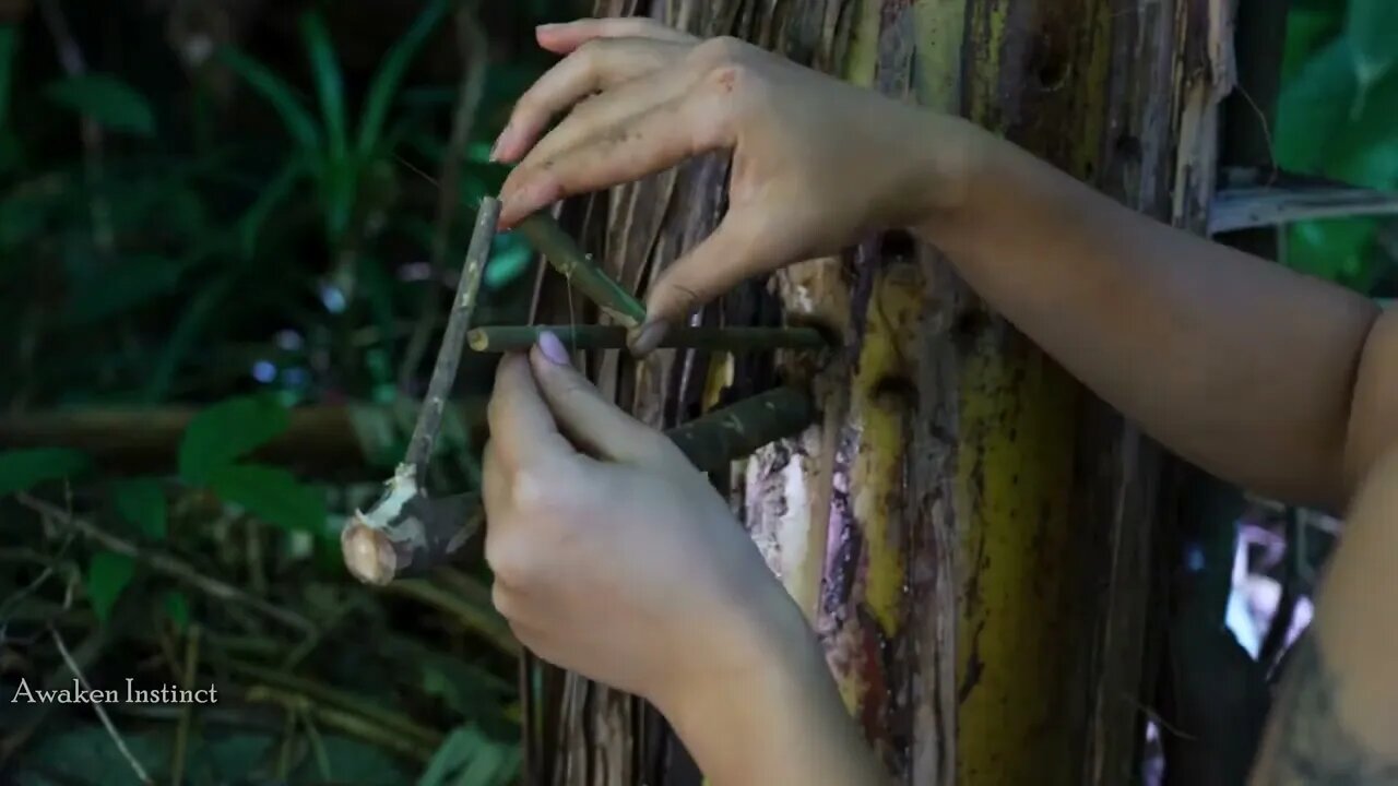 Food shortage, Making Many bird Traps "8