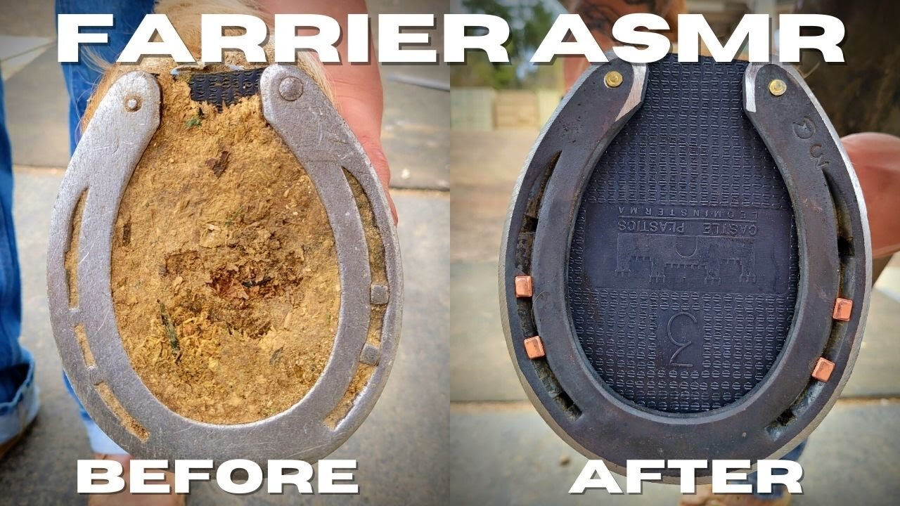 #oddlysatisfying #satisfyingvideo #satisfyingVery Satisfying - Hoof Restoration - Farrier ASMR