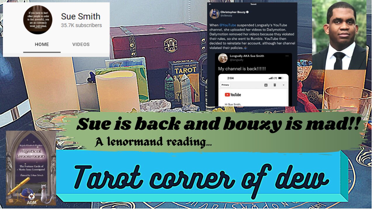 Sue is back on YT, what is bouzy planning to do? a lenormand reading