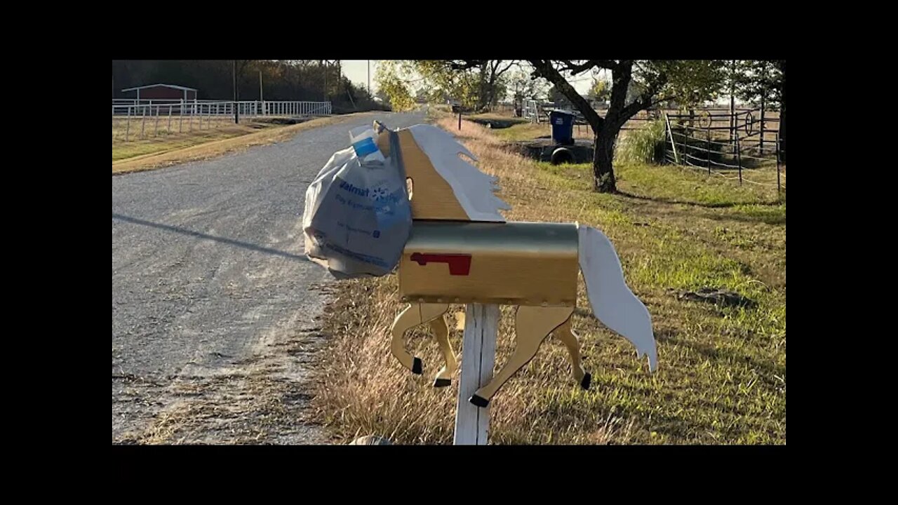 November 2021 - Feeding the Horses & Critters - Post Office Competing With Fedex For Who Is Worst